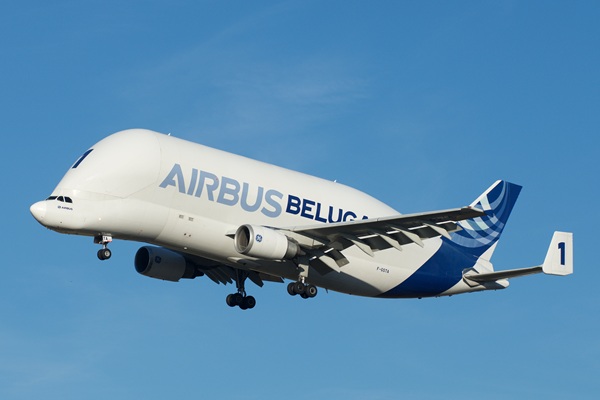 Beluga
